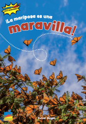 • La mariposa es una maravilla Y67459