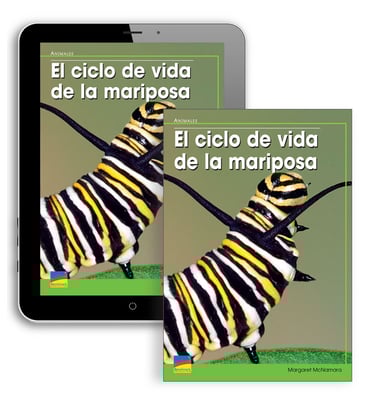 Y04873_El_ciclo_mariposa_BK