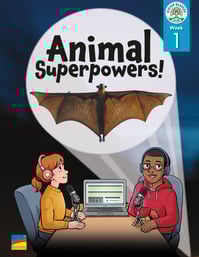 Y74621_RRC_STUB_G4_CC2025_CV